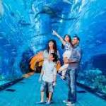 أماكن سياحية لازم تزورها Profile Picture