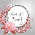 على خطى الحبيب ﷺ Profile Picture