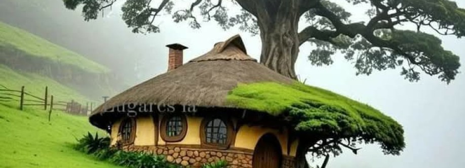 محمد الدولى Cover Image