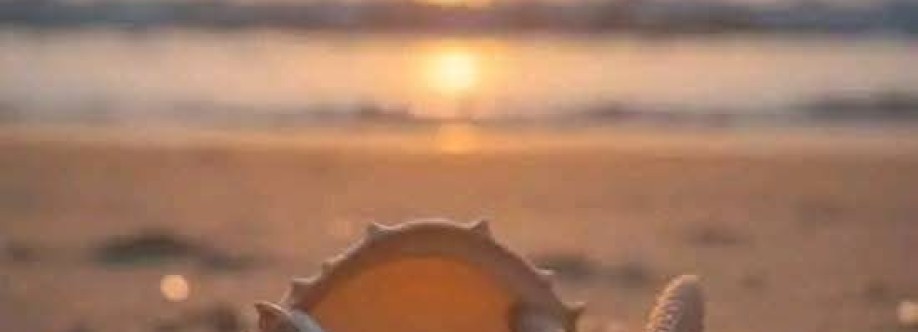 وائل منسي Cover Image