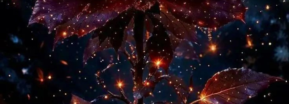 ابراهيم سمير Cover Image