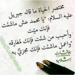 أبو الشيخ الصبيحى Profile Picture