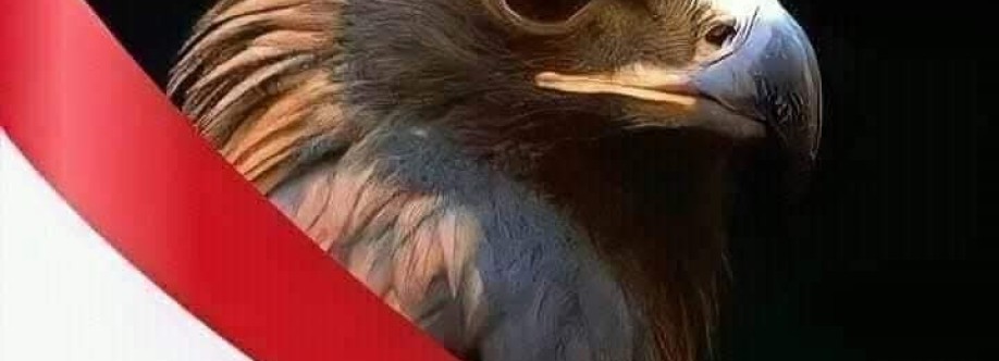 Sherif Abdalla Cover Image